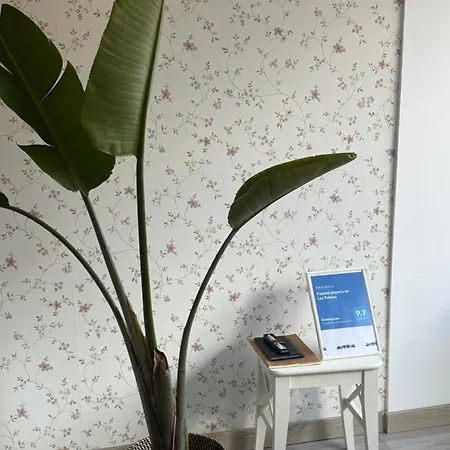 Paraiso Playero En Palmas * 大加那利岛拉斯帕尔马斯