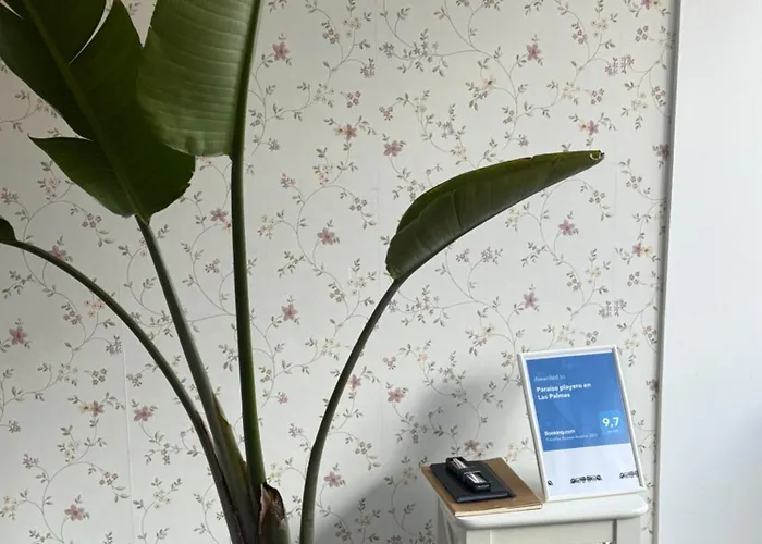 Paraiso Playero En Palmas * 라스팔마스