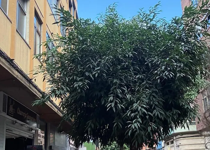 아파트 Paraiso Playero En Palmas *